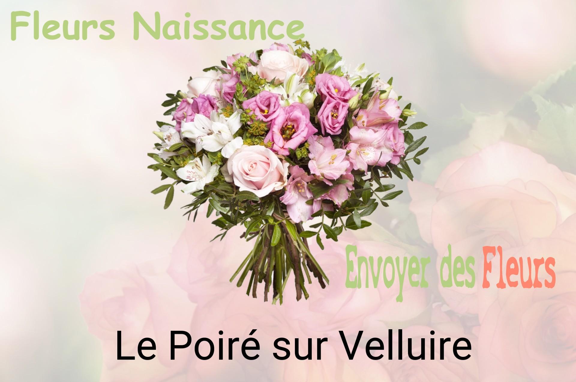 Bouquet de fleurs de naissance livré à Le Poiré-sur-Velluire